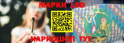 гидропоника Дубна